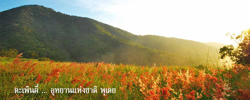 อุทยานแห่งชาติ พุเตย โรงแรมฉัตรแก้ว